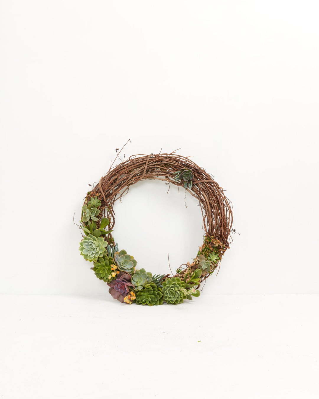 18" Fresh Live Succulent Wreath: Partially Covered, Lively Root, Plant, , , , 