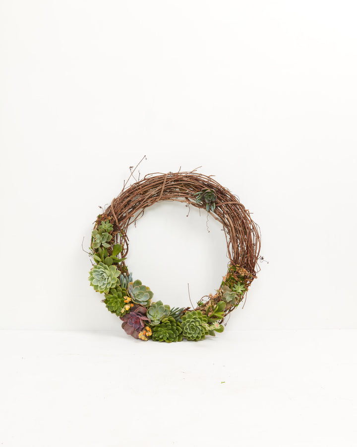 18" Fresh Live Succulent Wreath: Partially Covered, Lively Root, Plant, , , , 