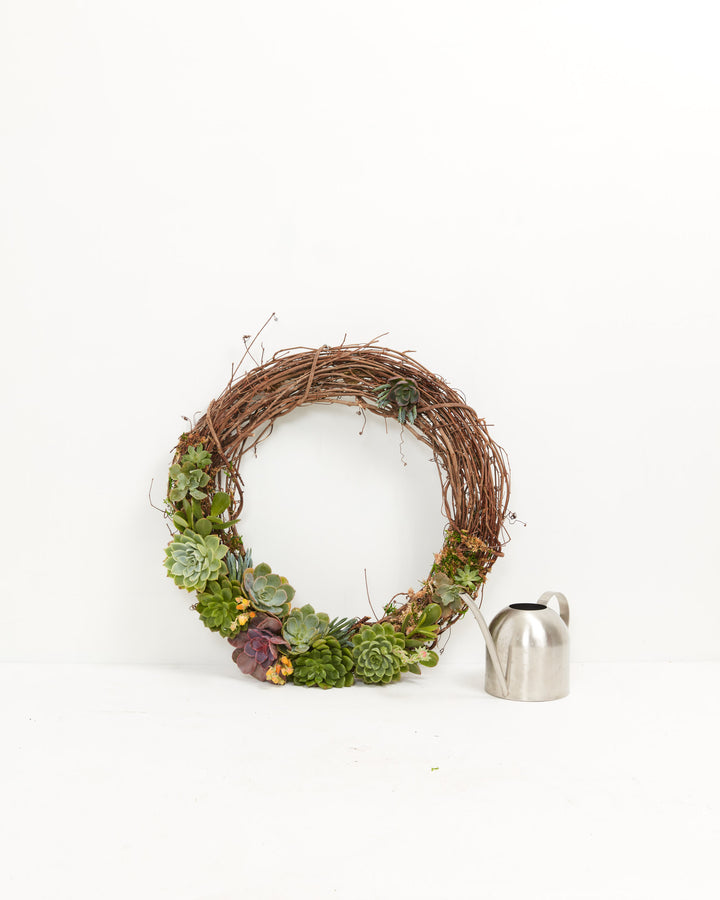 18" Fresh Live Succulent Wreath: Partially Covered, Lively Root, Plant, , , , 