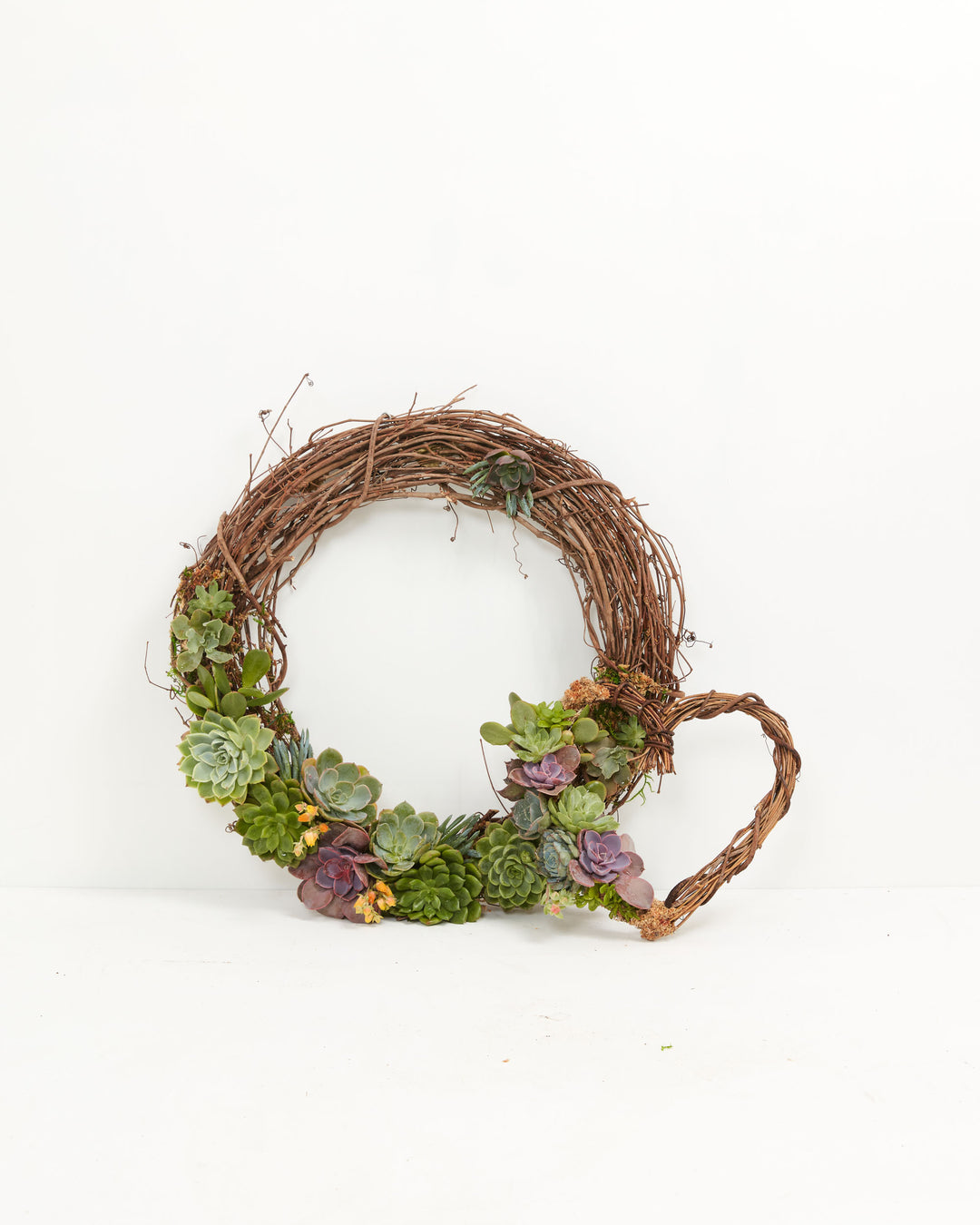 18" Fresh Live Succulent Wreath: Partially Covered, Lively Root, Plant, , , , 