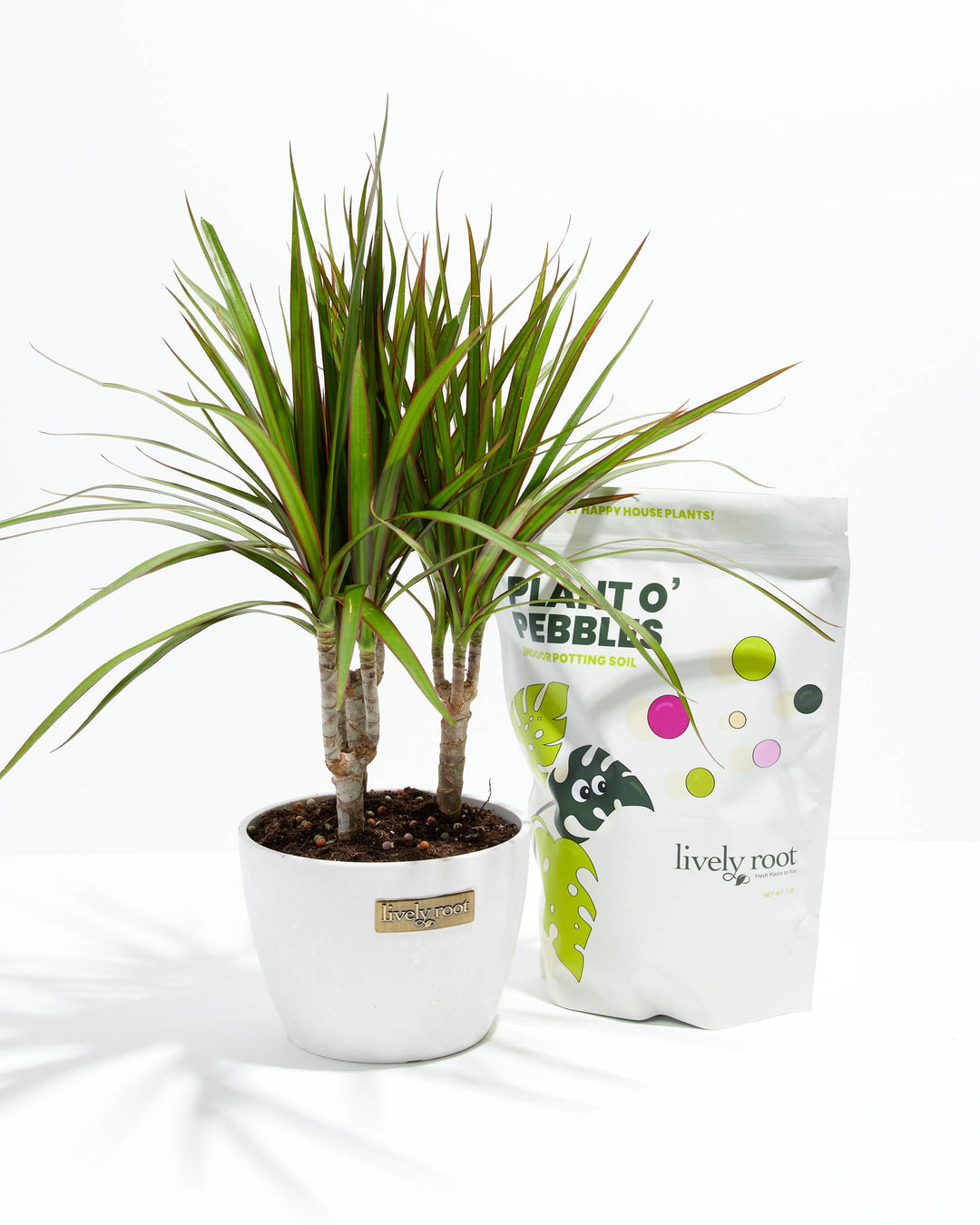 Lively Root Plant O' Pebbles Potting Soil