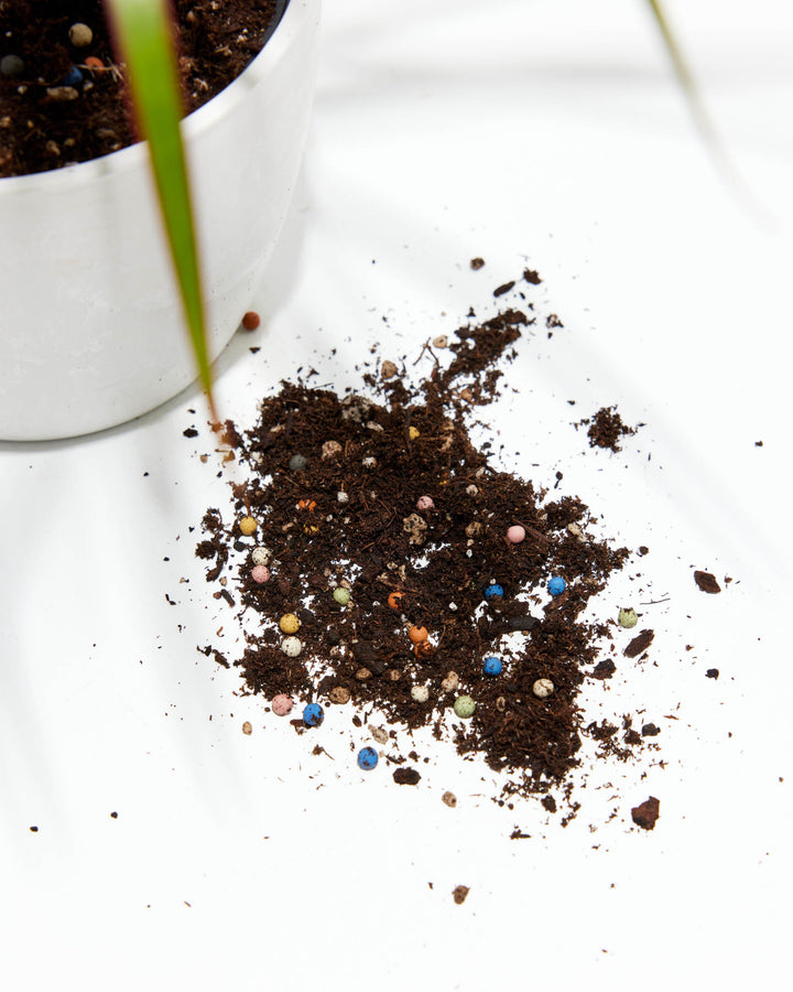 Lively Root Plant O' Pebbles Potting Soil