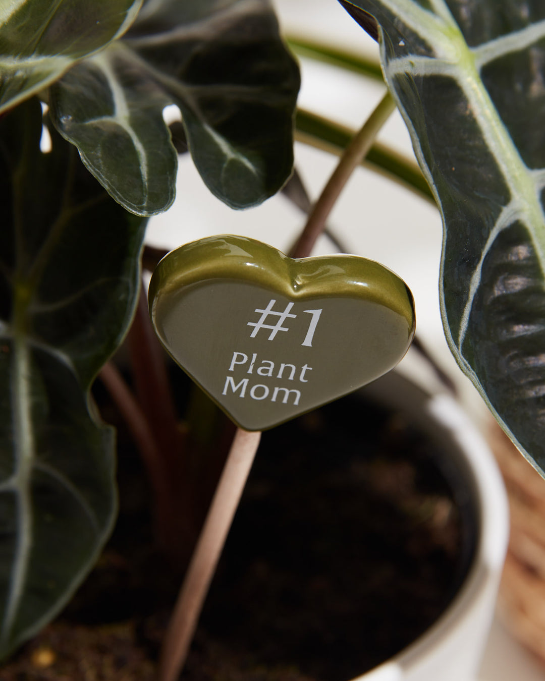 Detailed view of olive green heart-shaped plant stick with "#1 Plant Mom" engraved message positioned among ZZ plant leaflets, decorative plant marker for houseplant collections.