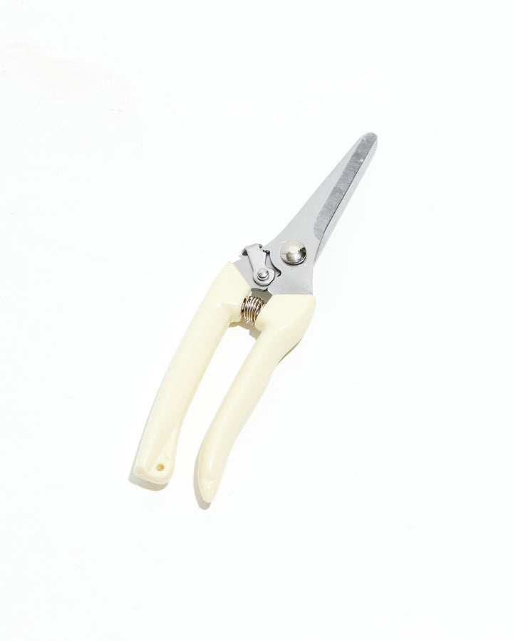 Plant Snips