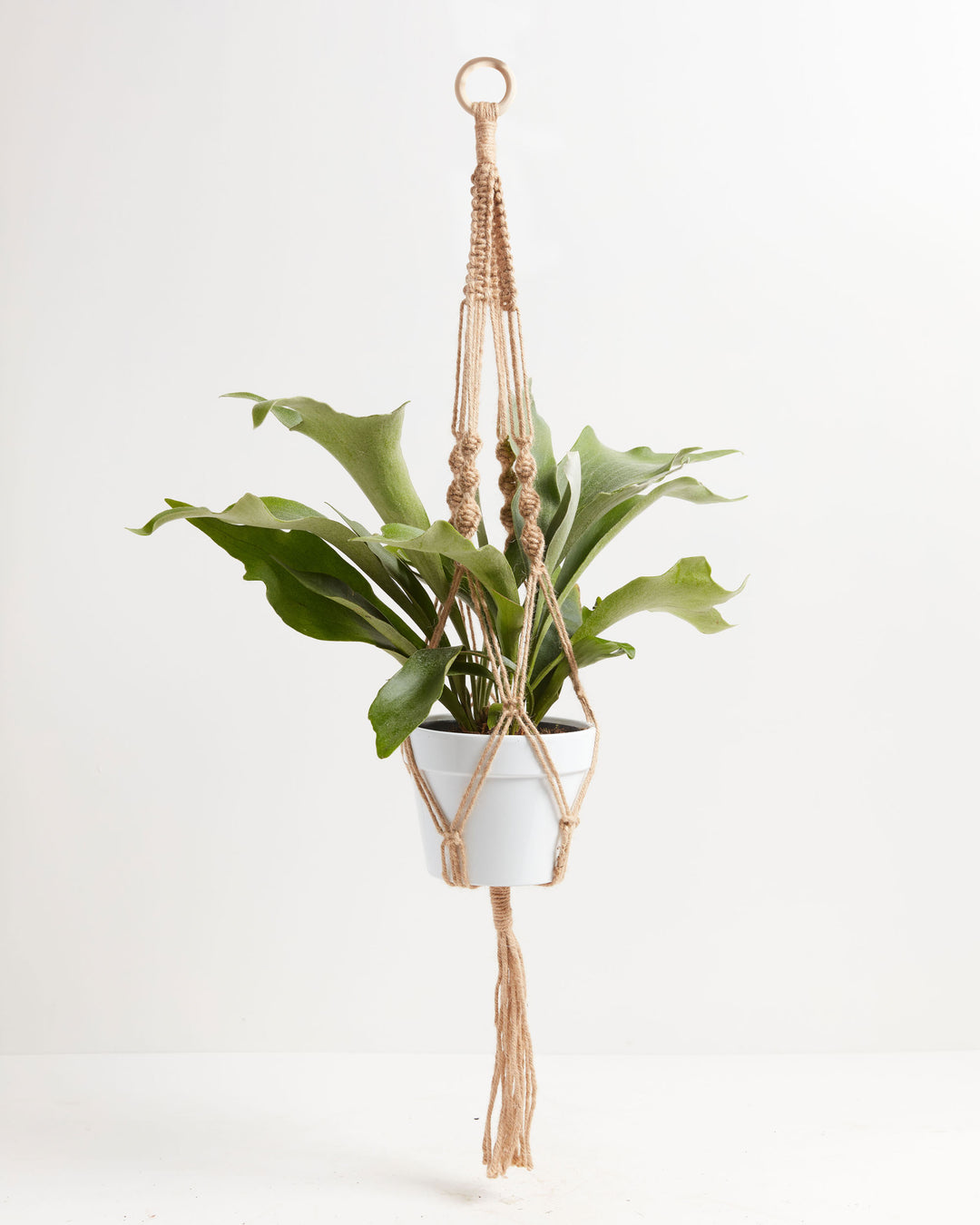 Macrame Plant Hanger, Lively Root, Accessory, Color, Toast, , 