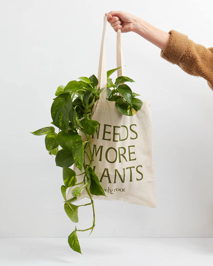 Lively Root organic cotton tote bag featuring cascading pothos or philodendron ivy trailing from natural canvas, ideal for carrying houseplants while shopping or gifting to plant enthusiasts and collectors.