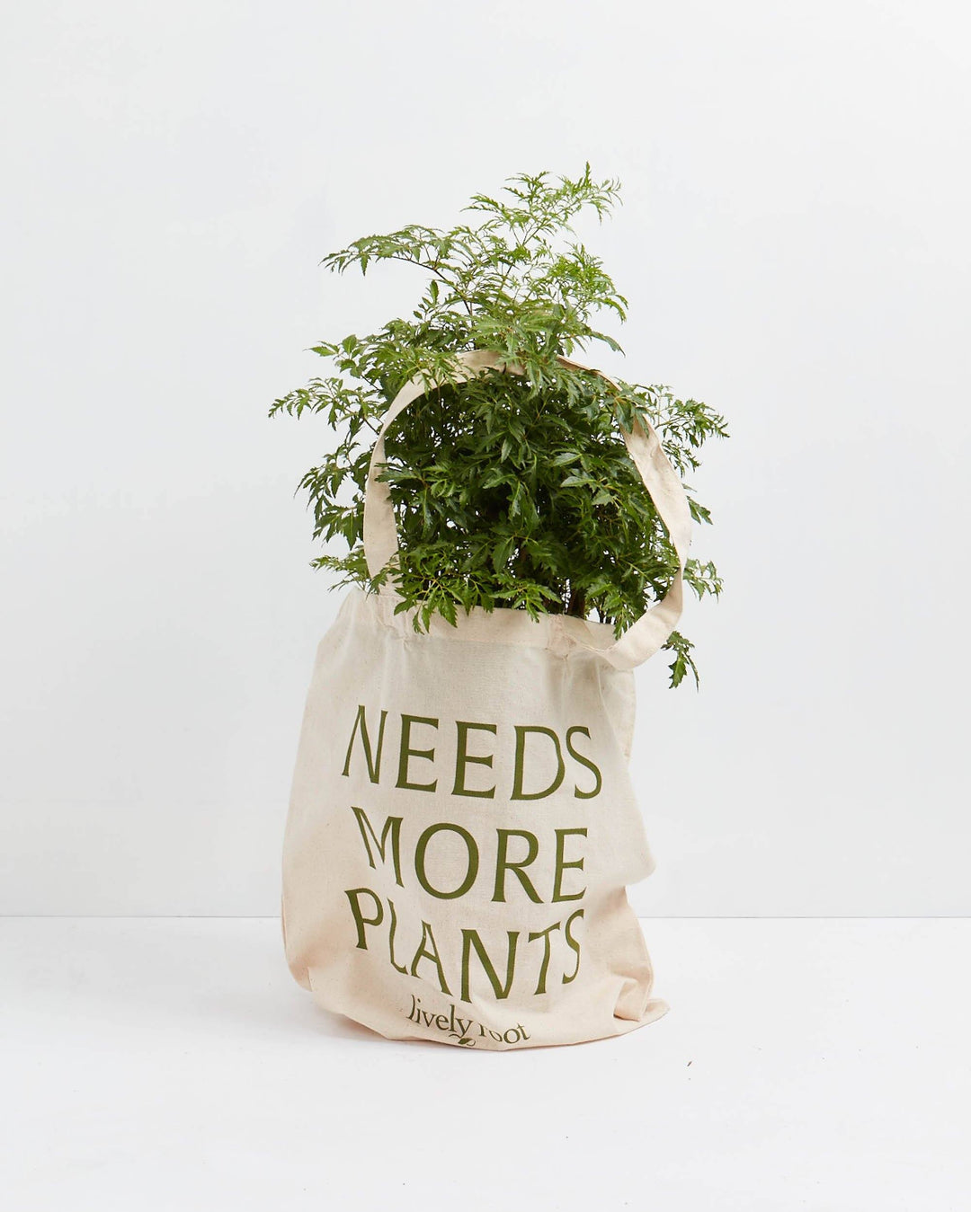 Reusable "Needs More Plants" canvas tote bag filled with lush trailing houseplant featuring dense green foliage, perfect for sustainable plant shopping and garden center storage or plant parent gift giving.