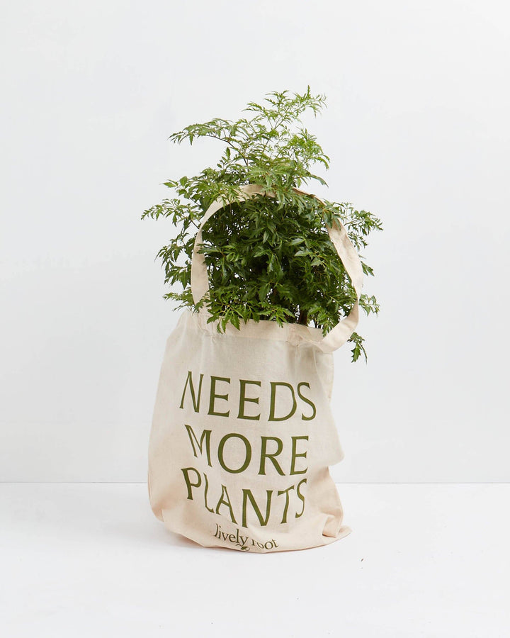 Reusable "Needs More Plants" canvas tote bag filled with lush trailing houseplant featuring dense green foliage, perfect for sustainable plant shopping and garden center storage or plant parent gift giving.
