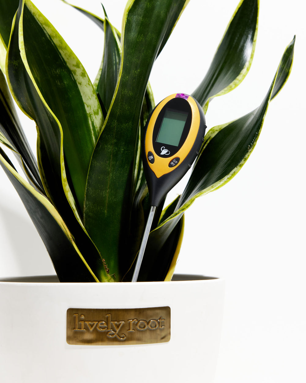 Digital Plant Thermometer 🌡️, Lively Root, Accessory, , , , 