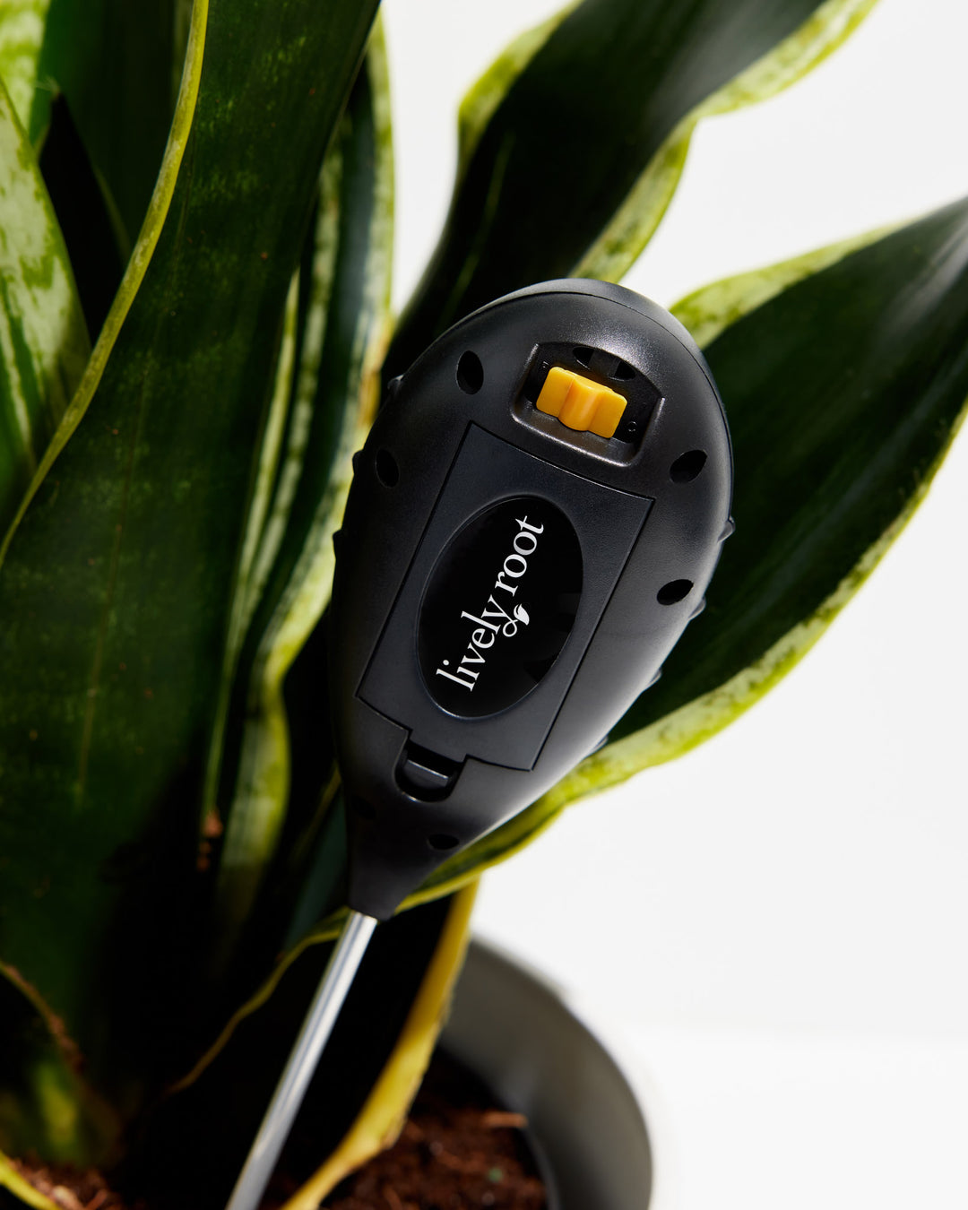 Digital Plant Thermometer 🌡️, Lively Root, Accessory, , , , 