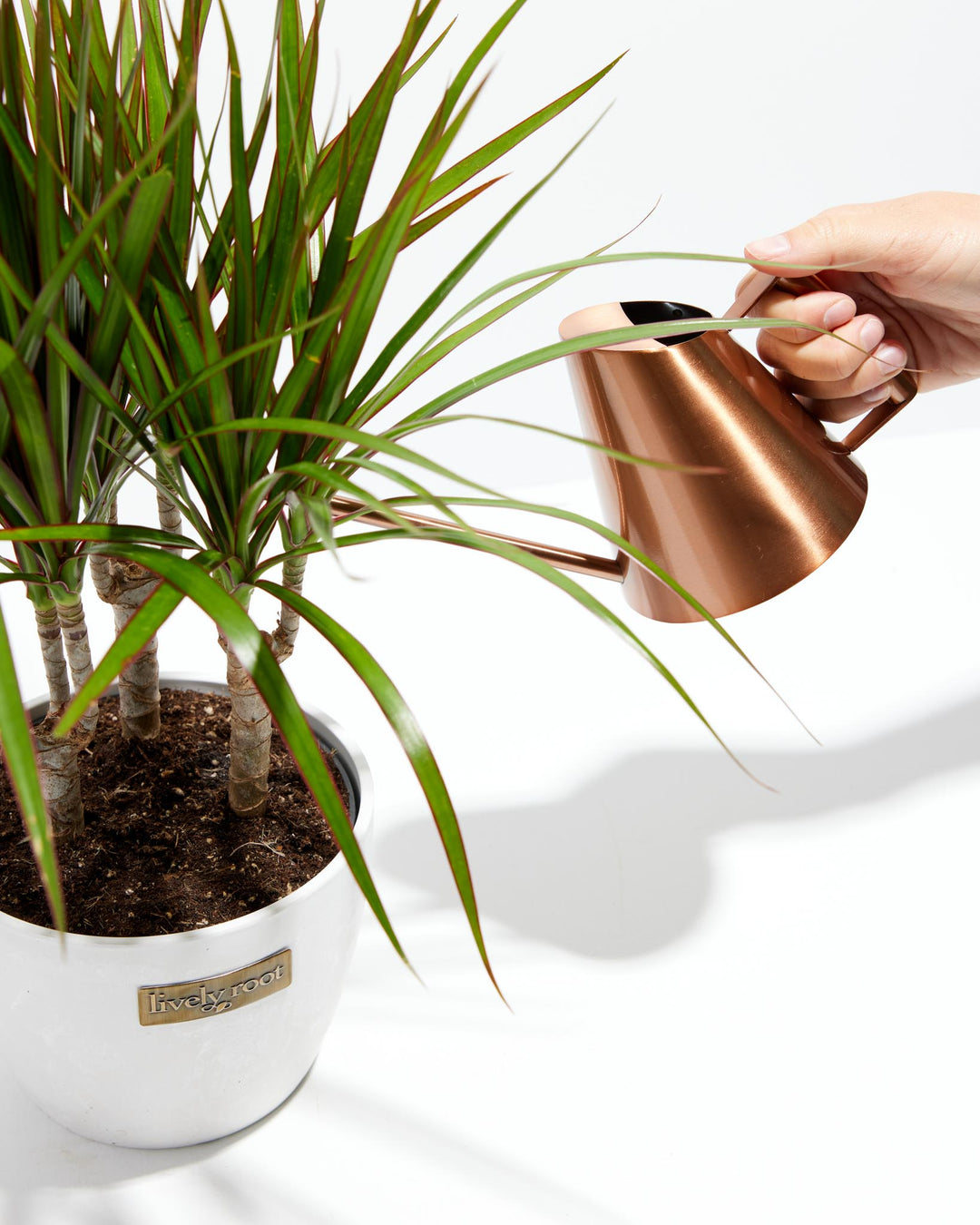 Watering Can