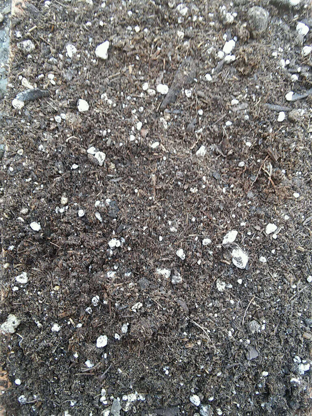 Black Gold Natural & Organic Potting Mix, Lively Root, Soil, , , , 