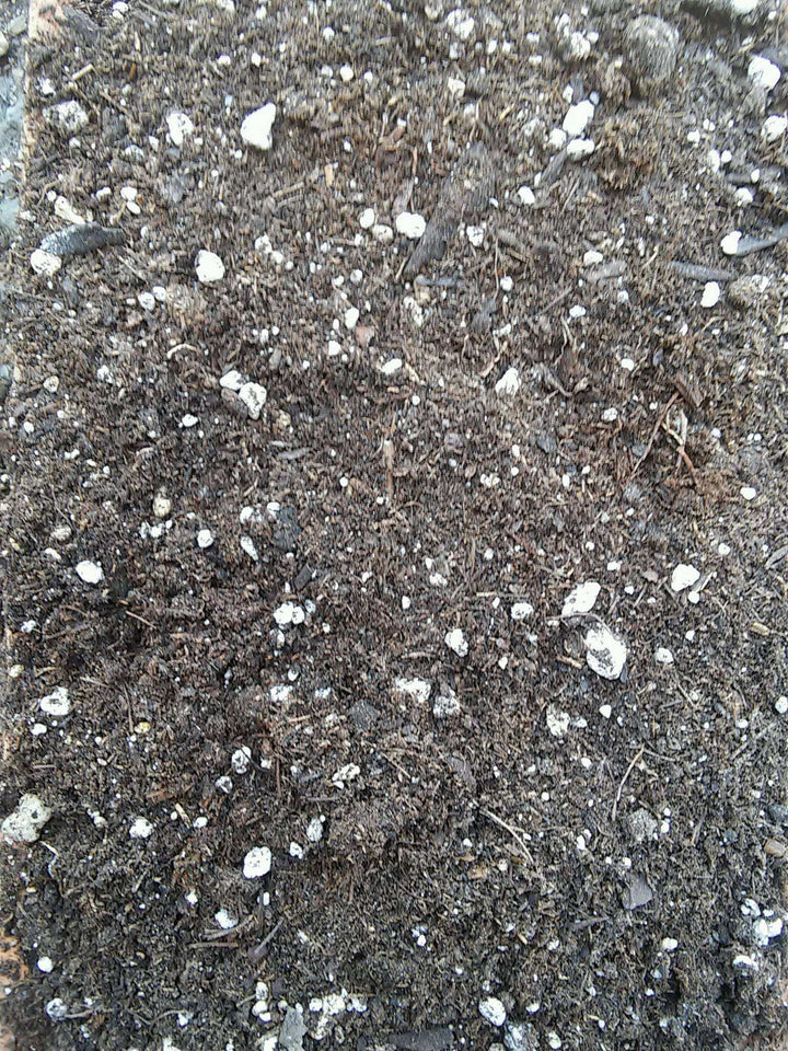Black Gold Natural & Organic Potting Mix, Lively Root, Soil, , , , 
