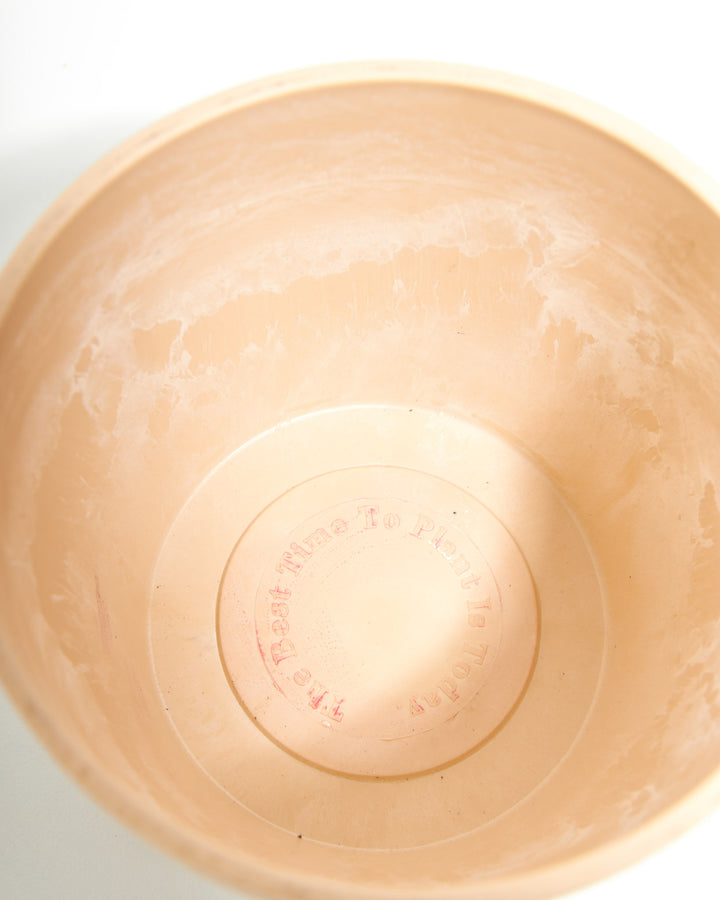 Eco Pot